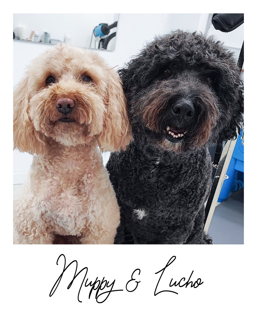 Muppy & Lucho