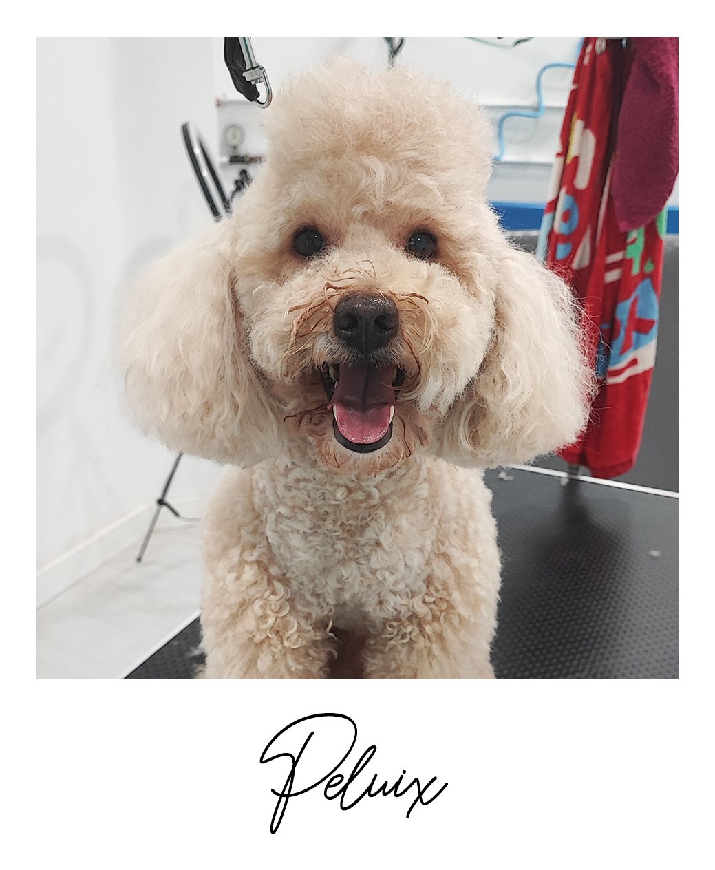 Peluix