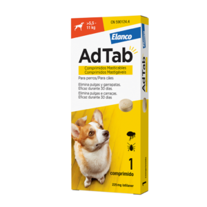 ADTAB 1 COMP MASTICABLE 5,5-11KG PERRO