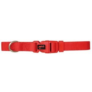 COLLAR BASIC ROJO - 20-70cm