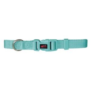 COLLAR BASIC AGUAMARINA - 20-70cm