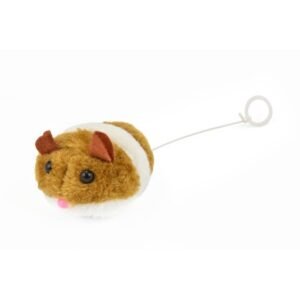 RATON SPEEDY