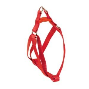 ARNES BASIC ROJO