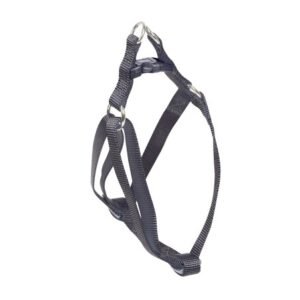 ARNES BASIC NEGRO