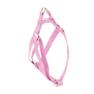 ARNES BASIC ROSA