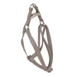 ARNES BASIC VISON