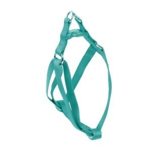 ARNES BASIC AGUAMARINA