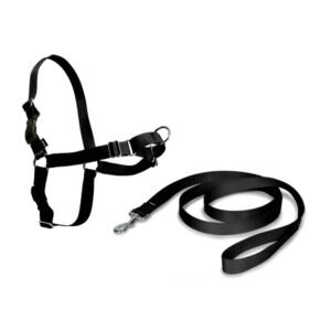 EASY WALK ARNES NEGRO