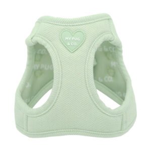 ARNES BODY MYPUG&CO - TWEED VERDE