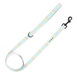 CORREA MYPUG&CO - SPRING PICNIC