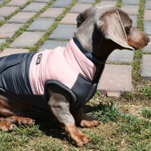 CHAQUETA MONTECARLO ROSA - Imagen 2