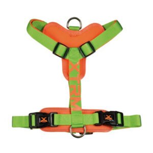 ARNES X-TRM CRONOS - VERDE