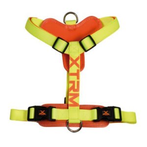 ARNES X-TRM CRONOS - LIMON