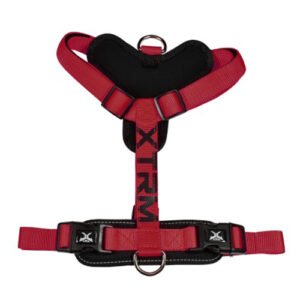 ARNES X-TRM CRONOS - ROJO/NEGRO