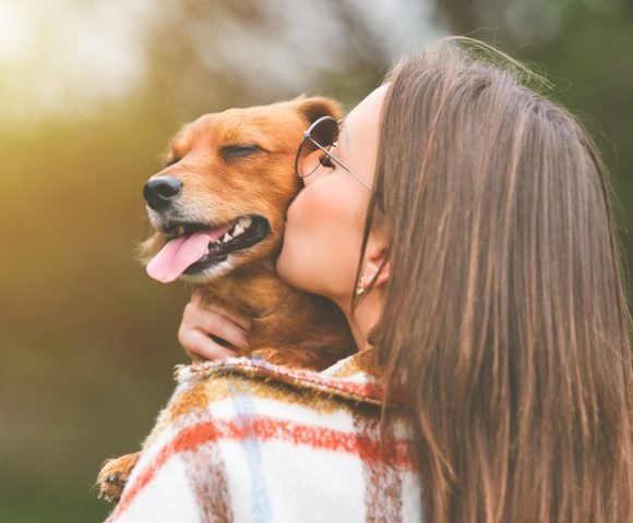 Woman kissing dog. Dog and owner together outdoors. Love for animals Woman kissing dog. Dog and owner together outdoors. Love for animals. High quality photo